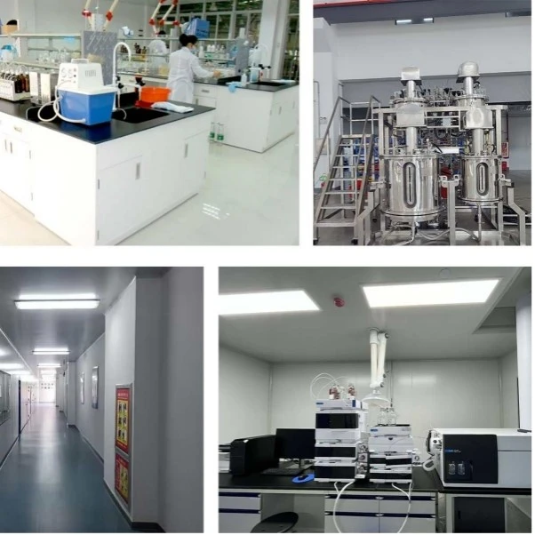 product-602-602