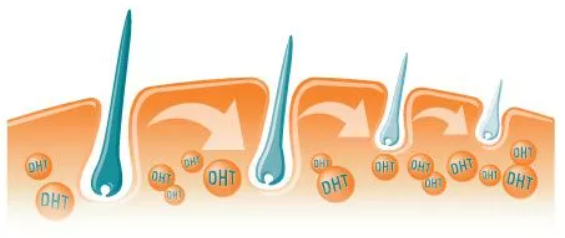 GHK-CU Hair Growth GHK-CU Hair Growth