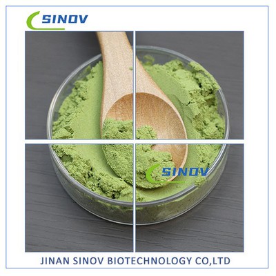 Green Tea Extract egcg Green Tea Extract egcg