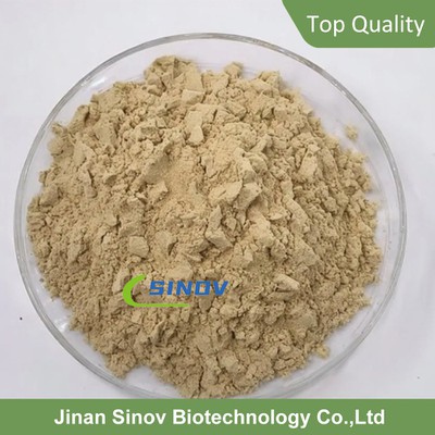 Platycladus Orientalis Leaf Extract Platycladus Orientalis Leaf Extract